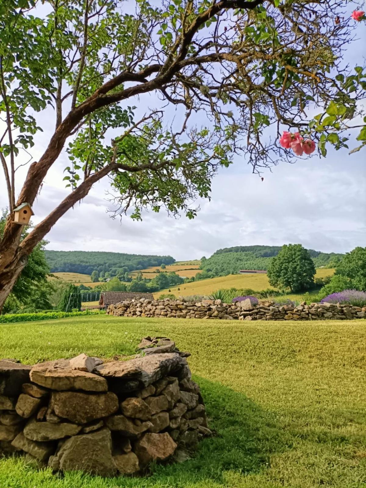 La Grenouille Amoureuse Bed & Breakfast *
